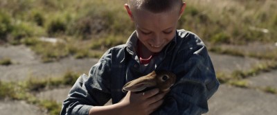 The Weight of Elephants | Rabbit