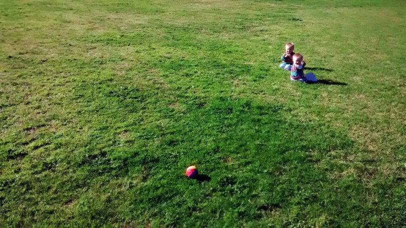 Grass with babies and brightly coloured ball